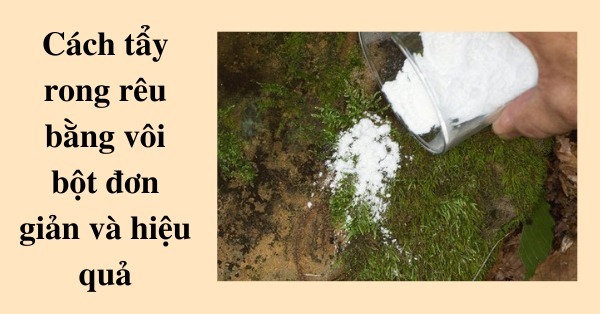 Cách làm sạch rêu ở sàn bê tông sử dụng vôi bột